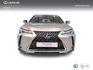 Lexus UX 2.0 250h Business
