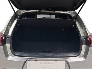 Lexus UX 2.0 250h Business