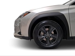 Lexus UX 2.0 250h Business