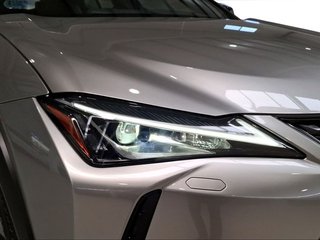 Lexus UX 2.0 250h Business