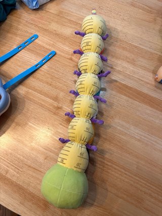 Oruga de peluche para bebé