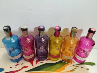 Set 6 bottiglie vuote Gin Whitley Neill