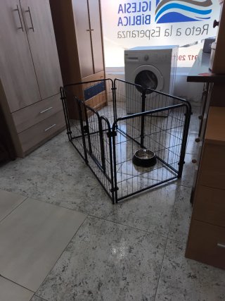 Jaula para perro negra plegable