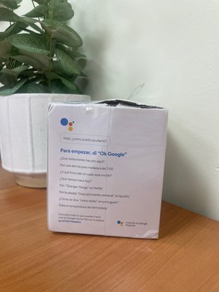 Google Home Mini -123017-