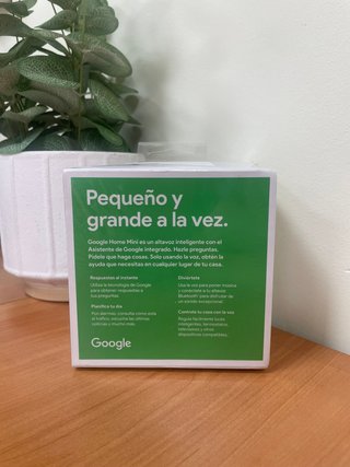 Google Home Mini -123017-