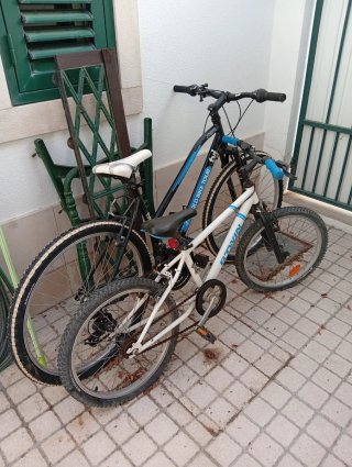 2 Bicicletas (Adulto e criança)