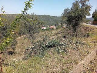 Terreno en venta en Torrelles de Llobregat