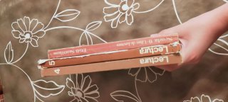 Lote libros años 70 Senda Santillana