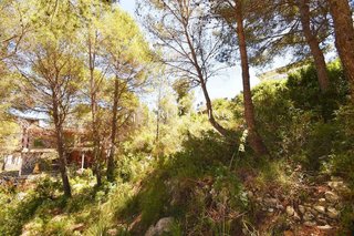 Terreno en venta en Mas Alba en Sant Pere de Ribes