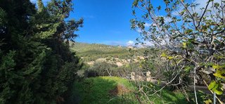 Casa rural en venta en Alaró