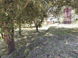 Terreno en venta en Torrelles de Llobregat