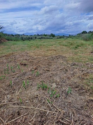 Terreno en venta en Cártama