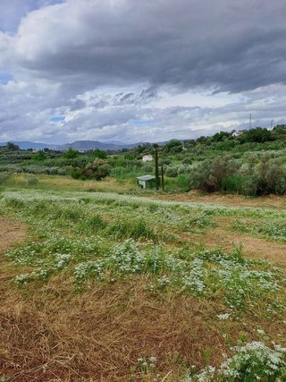 Terreno en venta en Cártama