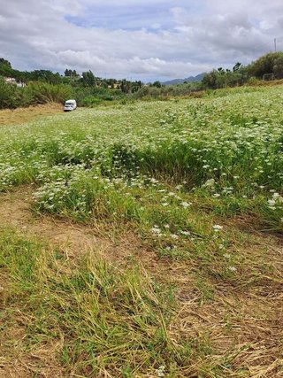 Terreno en venta en Cártama