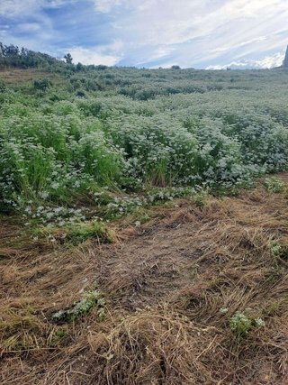 Terreno en venta en Cártama