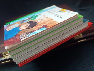 Lote 6 libros infantiles (de 5 a 11 años)