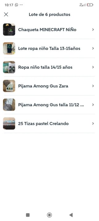 Lote 7 productos: Ropa y más