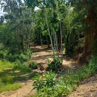 Terreno en venta en Can Vinyals en Esparreguera