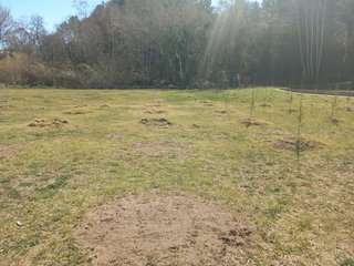 Terreno en venta en Can Vinyals en Esparreguera