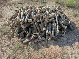 Leña de olivo para estufas