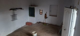 Finca Rústica con Caseta