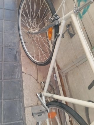 Bicicleta urbana vintage