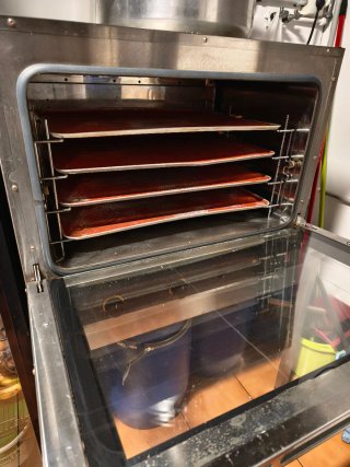 Horno Convección Eléctrico Profesional