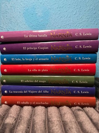 El León, la bruja y el armario