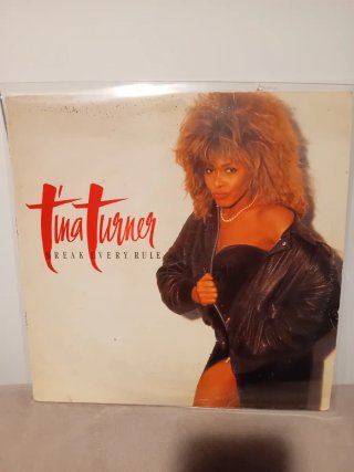 Tina Turner Break Every Rule Vinilo