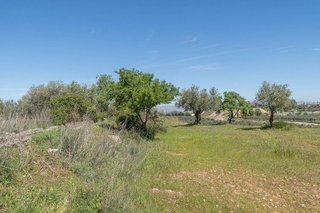 Terreno en venta en Otura