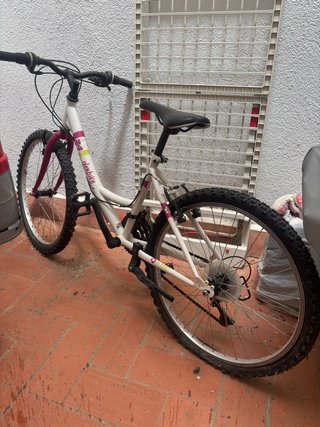 Bicicleta 24 in buone condizioni