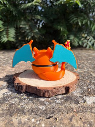 PokeBall Charizard