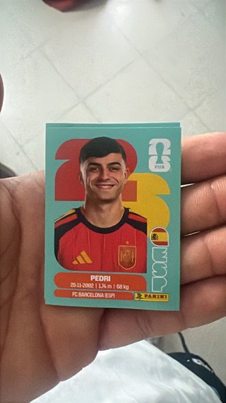 Carta del mundial