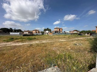 Terreno en venta en Álamo (El)