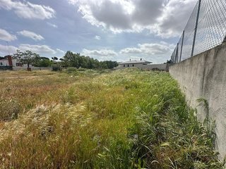 Terreno en venta en Álamo (El)