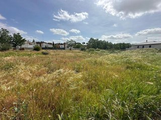 Terreno en venta en Álamo (El)