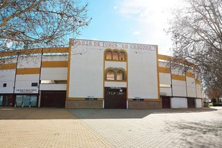 Terreno en venta en Álamo (El)