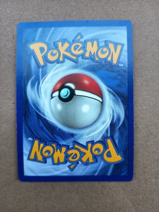 Carta Pokémon Machamp 1ª Edición + Libro Reglas