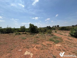Terreno en venta en Puig ciudad en Puig