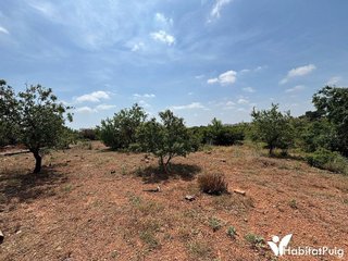 Terreno en venta en Puig ciudad en Puig