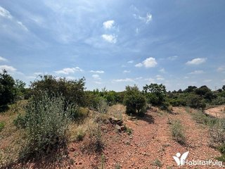 Terreno en venta en Puig ciudad en Puig