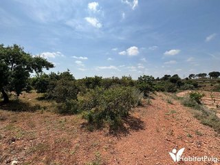Terreno en venta en Puig ciudad en Puig