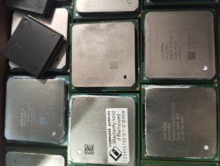 Lote 40 Procesadores Intel Pentium