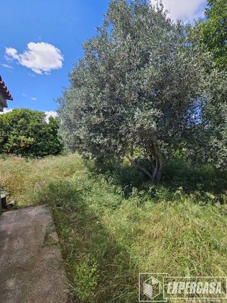 Terreno en venta en Vilamarxant