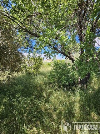 Terreno en venta en Vilamarxant