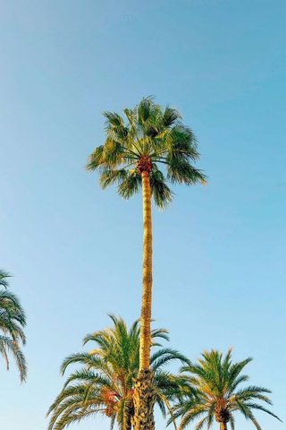 Garaje en venta en Torrequebrada en Benalmádena