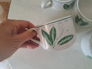 6 Tazas de Porcelana con Diseño de Hojas