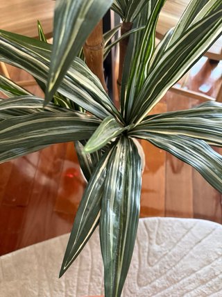 Planta Artificial Blaine