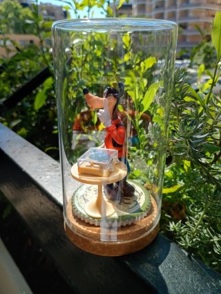 Pippo Disney in campana di vetro con giradischi!