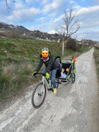 Carro Bici Qeridoo 2 Niños